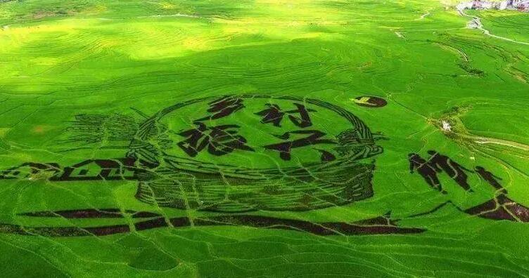 QQ截图20240103143720.jpg QQ截图20240103143720.jpg